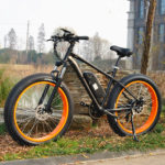 Electric Bike (6)