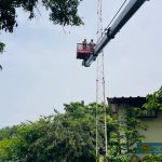 project-work-19