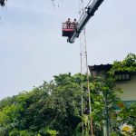 project-work-21